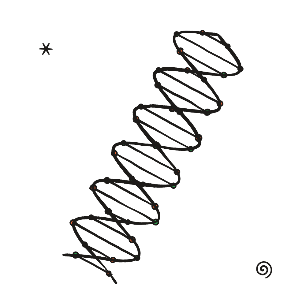 DNA 双螺旋插图
